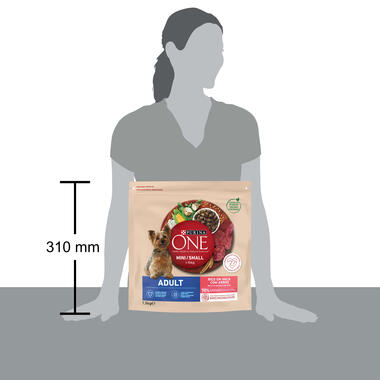 Purina One Active 1,5kg