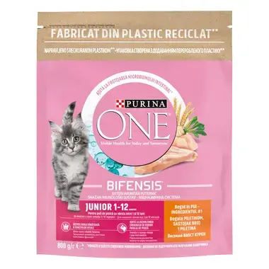 Purina One Junior pack