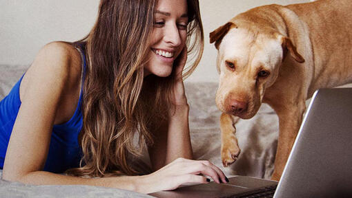 момиче, гледащо лаптоп с кучето си