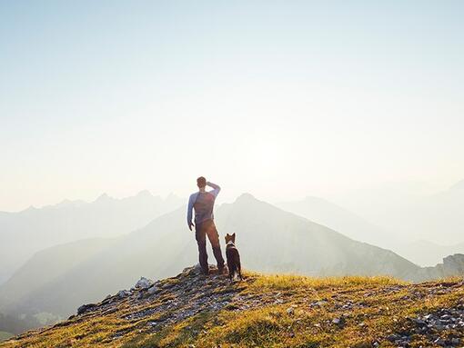 Нашите предишни ангажименти на Purina в обществото