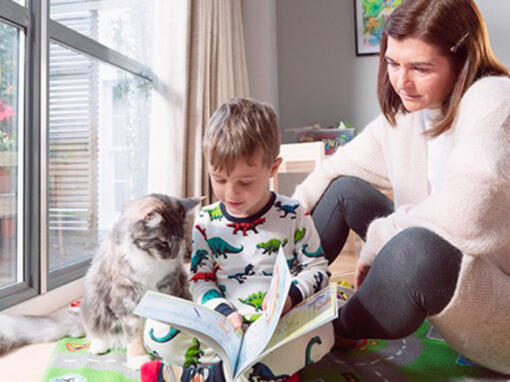 mother and son playing with a cat